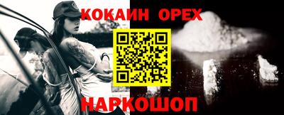 альфа пвп Новодвинск