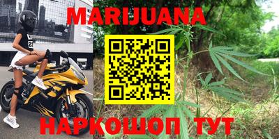 альфа пвп Новодвинск