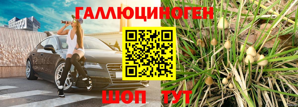 Славянск-на-Кубани  Галлюциногенные грибы Magic Shrooms  Вход с VPN  Псилоцибиновые грибы Magic Shrooms 