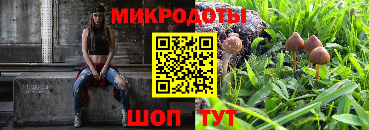 Галлюциногенные грибы Cubensis Славянск-на-Кубани